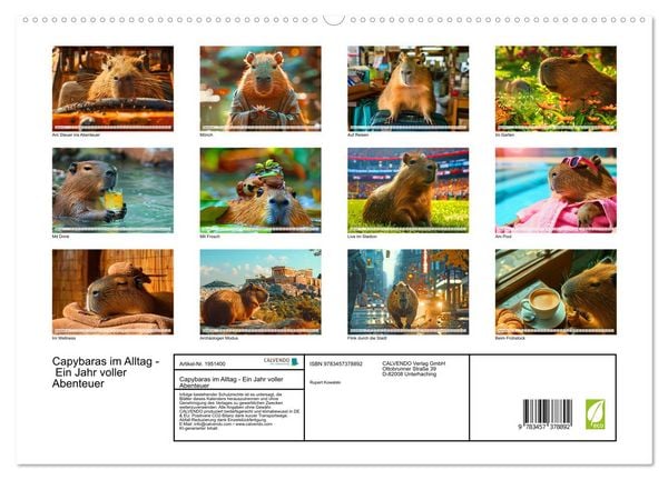 Produktbild: Capybaras im Alltag - Ein Jahr voller Abenteuer (hochwertiger Premium Wandkalender 2026 DIN A2 quer), Kunstdruck in Hochglanz