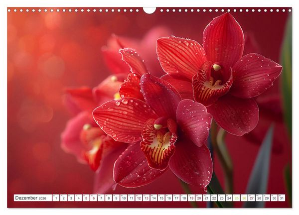 Produktbild: Orchideen - farbenfroh durchs Jahr (Wandkalender 2026 DIN A3 quer), CALVENDO Monatskalender