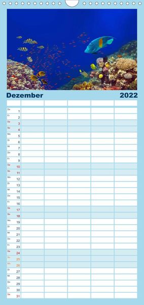 Produktbild: Riffleben - Einfach mal abtauchen - Familienplaner hoch (Wandkalender 2022 , 21 cm x 45 cm, hoch)