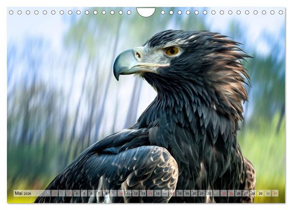 Produktbild: Faszinierende Greifv&ouml;gel hautnah (Wandkalender 2026 DIN A4 quer), CALVENDO Monatskalender