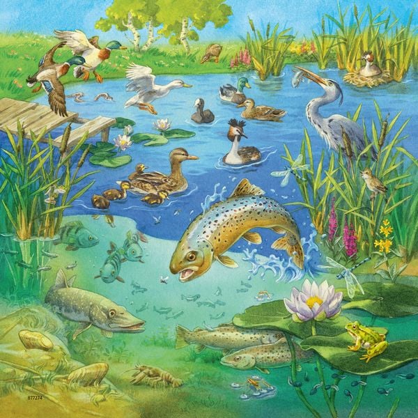 Produktbild: Puzzle Ravensburger Tiere in ihren Lebensr&auml;umen 3 X 49 Teile