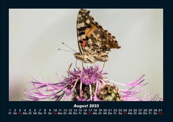 Produktbild: Welt der Tiere 2025 Fotokalender DIN A4