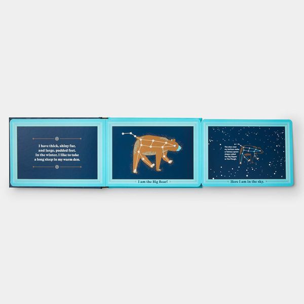 Produktbild: Animals in the Sky