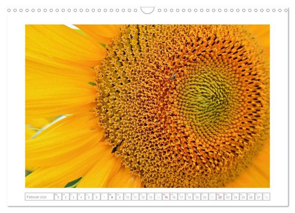Produktbild: Sonnentage 2026 (Wandkalender 2026 DIN A3 quer), CALVENDO Monatskalender
