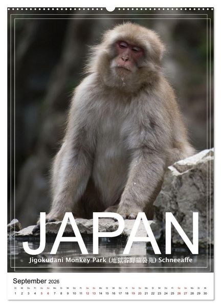 Produktbild: Japan PosterArt 2024 (hochwertiger Premium Wandkalender 2026 DIN A2 hoch), Kunstdruck in Hochglanz