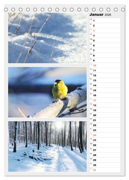 Produktbild: Zauberhafte Farben der Natur (Tischkalender 2026 DIN A5 hoch), CALVENDO Monatskalender