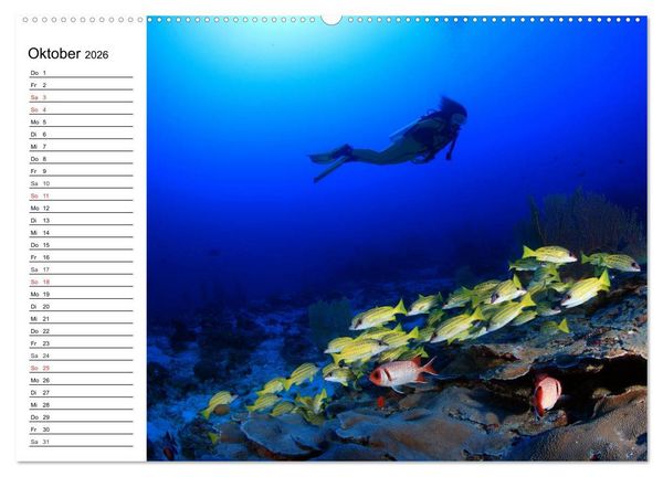 Produktbild: Tauchen - Abenteuer in Neptuns Wunderwelt (Wandkalender 2026 DIN A2 quer), CALVENDO Monatskalender