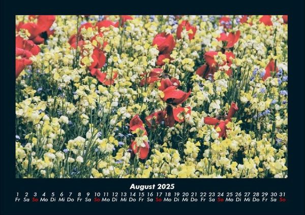 Produktbild: Blumentr&auml;ume 2025 Fotokalender DIN A4