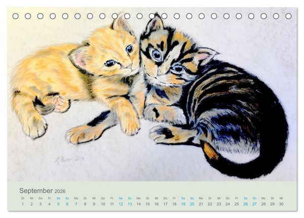 Produktbild: KATZEN PortraiTierART (Tischkalender 2026 DIN A5 quer), CALVENDO Monatskalender