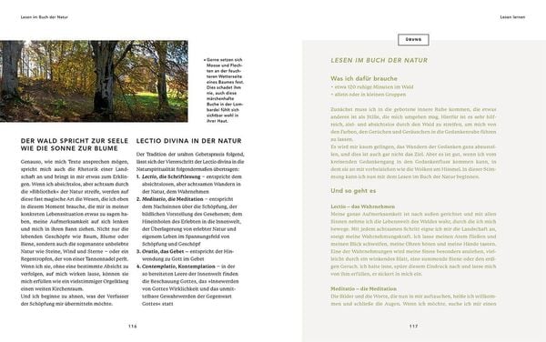 Bäume für die Seele