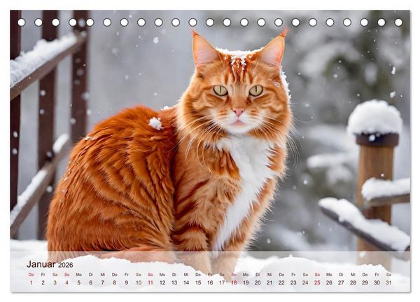 Produktbild: Rote Katzen (Tischkalender 2026 DIN A5 quer), CALVENDO Monatskalender