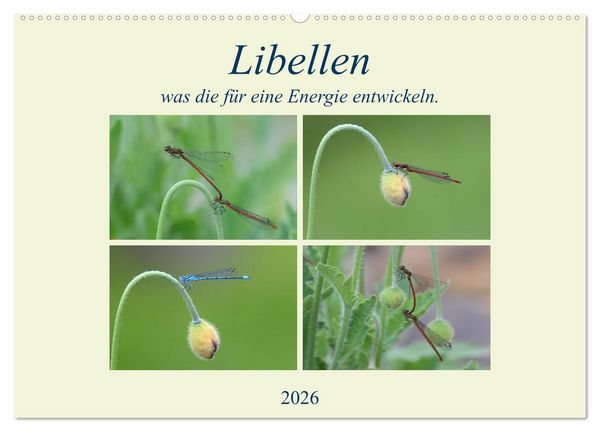 Produktbild: Libellen, was die f&uuml;r eine Energie entwickeln. (Wandkalender 2026 DIN A2 quer), CALVENDO Monatskalender