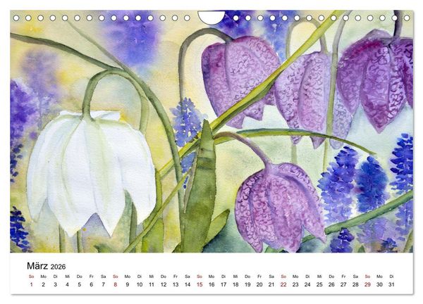 Produktbild: Blumen-Aquarelle (Wandkalender 2026 DIN A4 quer), CALVENDO Monatskalender