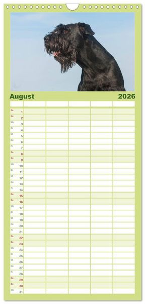 Produktbild: Familienplaner 2026 - Treuer Freund Riesenschnauzer mit 5 Spalten (Wandkalender, 21 x 45 cm) CALVENDO
