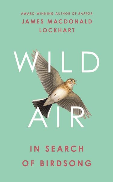 Produktbild: Wild Air