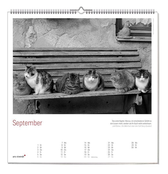 Produktbild: Der grosse literarische Katzen Kalender 2027