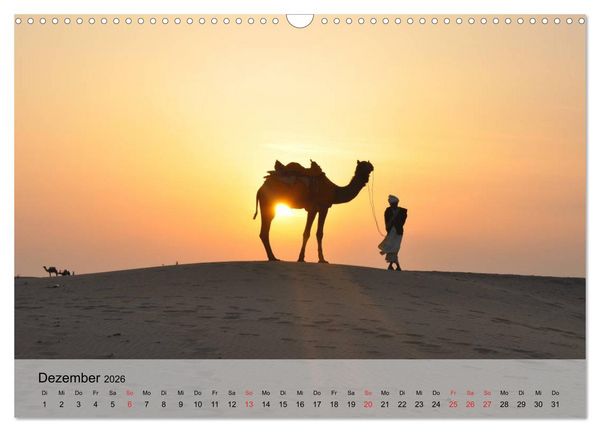 Produktbild: Kamele in der W&uuml;stensonne (Wandkalender 2026 DIN A3 quer), CALVENDO Monatskalender
