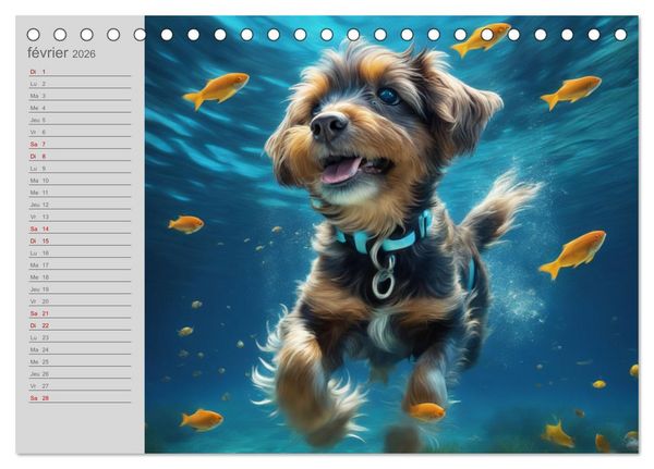Produktbild: Chiens : les nageurs intr&eacute;pides (Calendrier de bureau 2026 DIN A5 vertical), CALVENDO calendrier mensuel