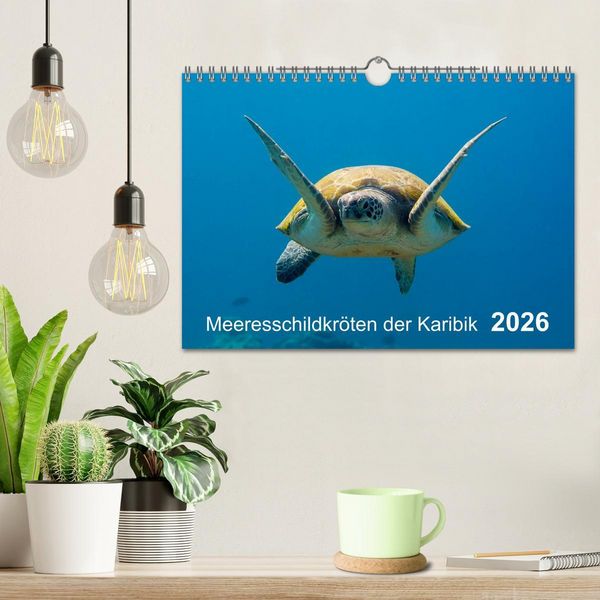 Produktbild: Meeresschildkr&ouml;ten der Karibik (Wandkalender 2026 DIN A4 quer), CALVENDO Monatskalender