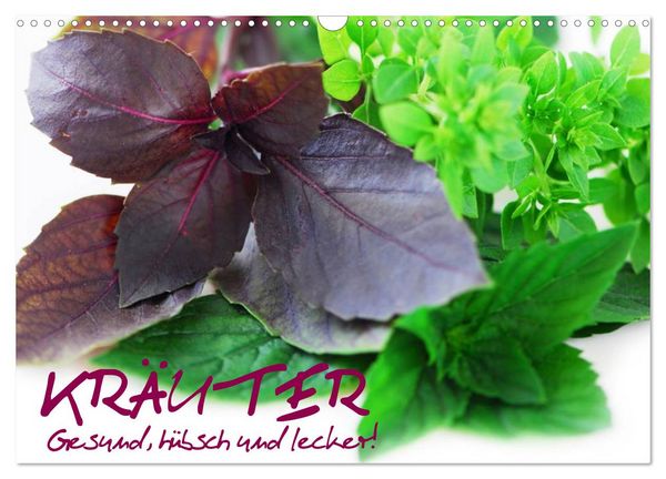 Kräuter - Gesund, hübsch und lecker (Wandkalender 2026 DIN A3 quer), CALVENDO Monatskalender