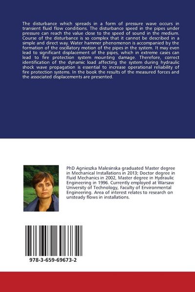 Produktbild: Final report from the study on water hammer in fire protection system