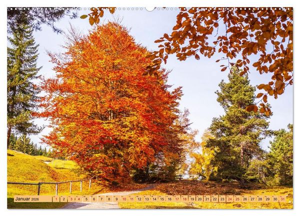 Produktbild: Das Element Holz - Ein Sinnbild (hochwertiger Premium Wandkalender 2026 DIN A2 quer), Kunstdruck in Hochglanz