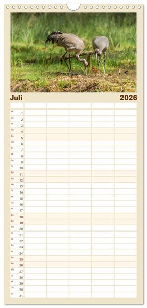 Produktbild: Familienplaner 2026 - Mit Kranichen durch das Jahr mit 5 Spalten (Wandkalender, 21 x 45 cm) CALVENDO