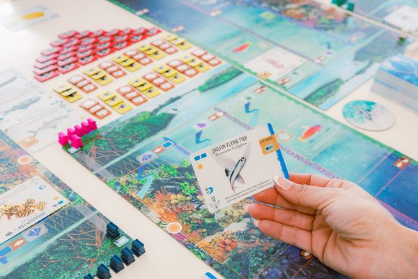 Produktbild: Stonemaier Games - Finspan, englische Version
