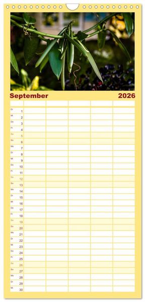 Produktbild: Familienplaner 2026 - Fr&uuml;chte der Karibik mit 5 Spalten (Wandkalender, 21 x 45 cm) CALVENDO