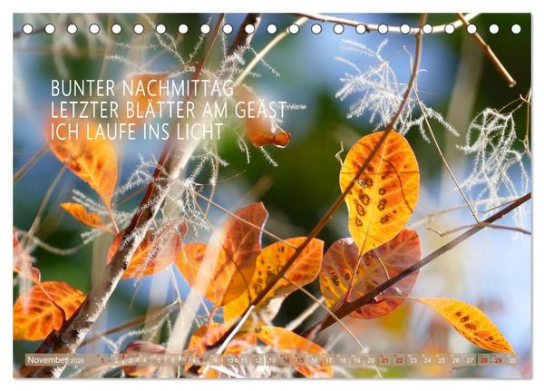 Produktbild: Haiku Poesie in Wort und Bild (Tischkalender 2026 DIN A5 quer), CALVENDO Monatskalender