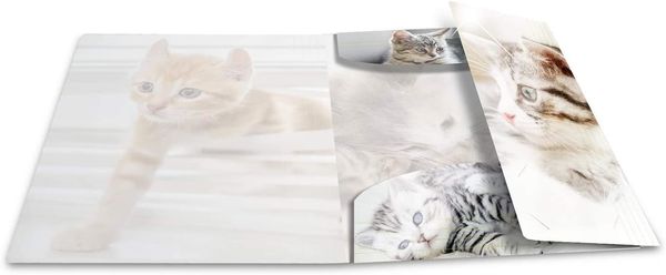 Produktbild: Herma Sammelmappe A4 Tiere - Katzen
