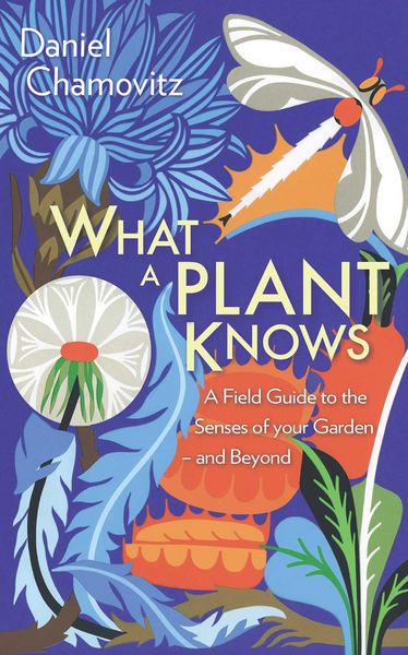 Produktbild: What a Plant Knows
