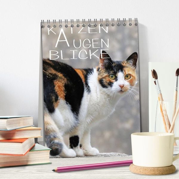 Produktbild: KATZEN AUGEN BLICKE (Tischkalender 2026 DIN A5 hoch), CALVENDO Monatskalender