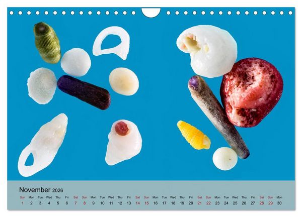 Produktbild: bermuda pink (Wall Calendar 2026 DIN A4 landscape), CALVENDO 12 Month Wall Calendar