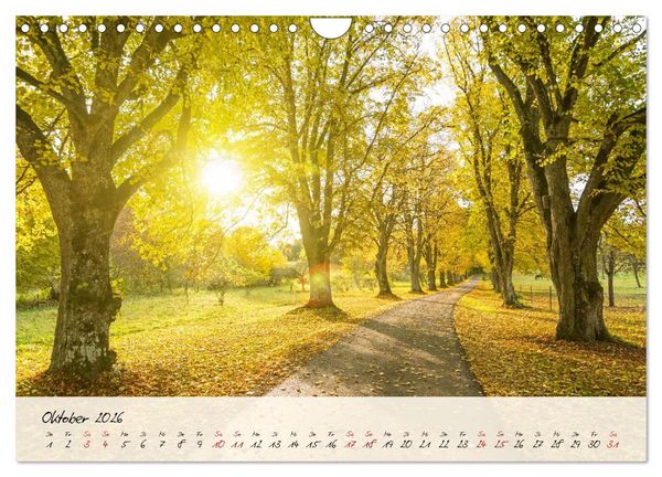 Produktbild: Lieblingsorte in und um T&uuml;bingen (Wandkalender 2026 DIN A4 quer), CALVENDO Monatskalender