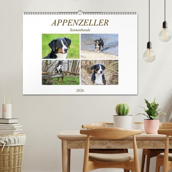 Produktbild: Appenzeller Sennenhunde (Wandkalender 2026 DIN A2 quer), CALVENDO Monatskalender