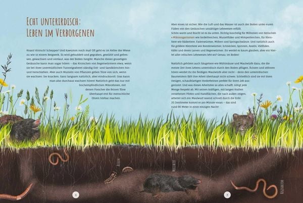 Produktbild: Die Wildwiese