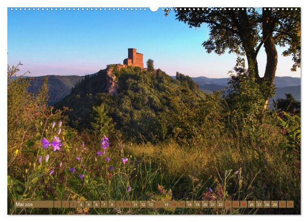Produktbild: Augenschmaus Pf&auml;lzer Wald (Wandkalender 2026 DIN A2 quer), CALVENDO Monatskalender