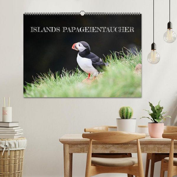 Produktbild: Islands Papageientaucher (Wandkalender 2026 DIN A2 quer), CALVENDO Monatskalender