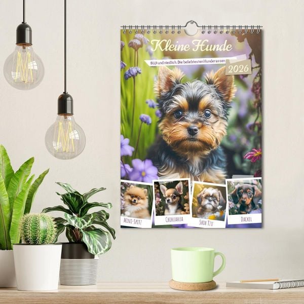 Produktbild: Kleine Hunde. S&uuml;&szlig; und niedlich. Die beliebtesten Hunderassen (Wandkalender 2026 DIN A4 hoch), CALVENDO Monatskalender