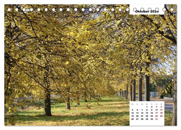 Produktbild: Vorsfelde (Tischkalender 2026 DIN A5 quer), CALVENDO Monatskalender