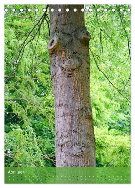Produktbild: Geister im Wald 2027 (Tischkalender 2027 DIN A5 hoch), CALVENDO Monatskalender