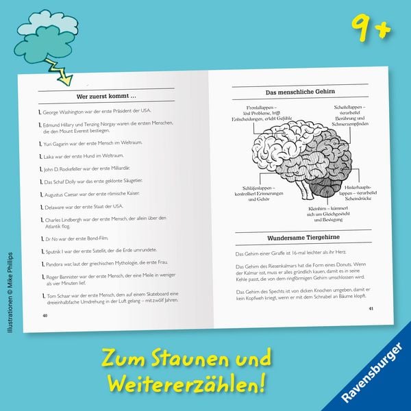 Produktbild: Verr&uuml;ckte Fakten, Band 1 - Welcher K&auml;se stinkt am meisten? Verr&uuml;ckte Fakten f&uuml;r coole Jungs