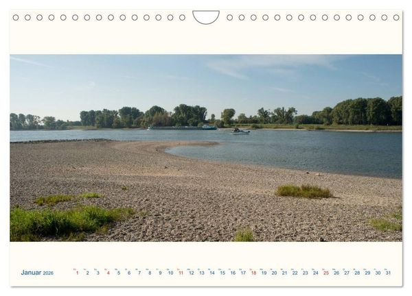Produktbild: Am Rhein - Urdenbacher K&auml;mpe (Wandkalender 2026 DIN A4 quer), CALVENDO Monatskalender