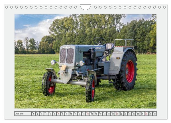 Produktbild: Alte Sch&auml;tzchen - Traktoren (Wandkalender 2026 DIN A4 quer), CALVENDO Monatskalender