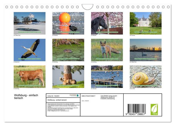 Produktbild: Wolfsburg - einfach tierisch (Wandkalender 2026 DIN A4 quer), CALVENDO Monatskalender