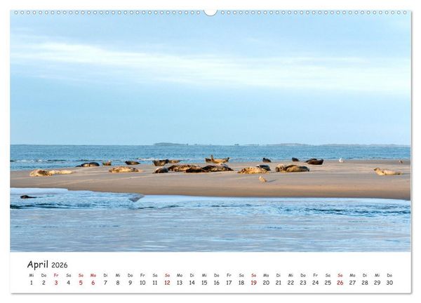 Produktbild: Borkum: Streifz&uuml;ge &uuml;ber die Nordseeinsel (hochwertiger Premium Wandkalender 2026 DIN A2 quer), Kunstdruck in Hochglanz