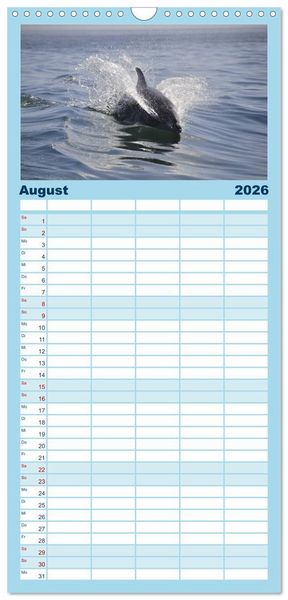 Produktbild: Familienplaner 2026 - Delfine und Wale mit 5 Spalten (Wandkalender, 21 x 45 cm) CALVENDO