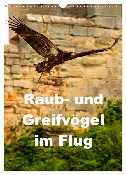 Produktbild: Raub- und Greifv&ouml;gel im Flug (Wandkalender 2026 DIN A3 hoch), CALVENDO Monatskalender