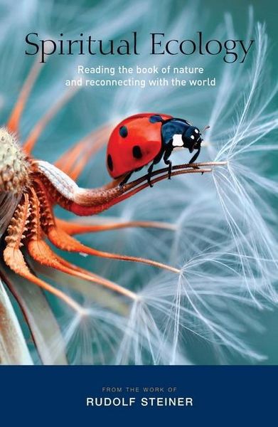 Produktbild: Spiritual Ecology